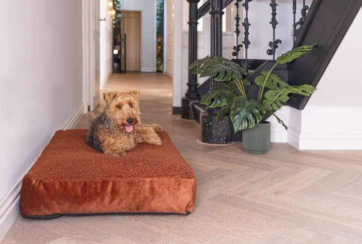 Designed by Lotte Hundekissen Yndis